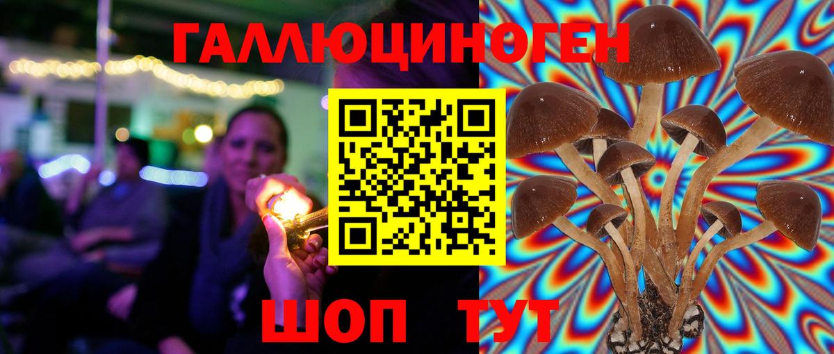 Галлюциногенные грибы Magic Shrooms Родники