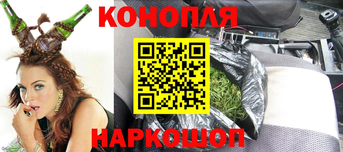 Бошки Шишки сатива Родники